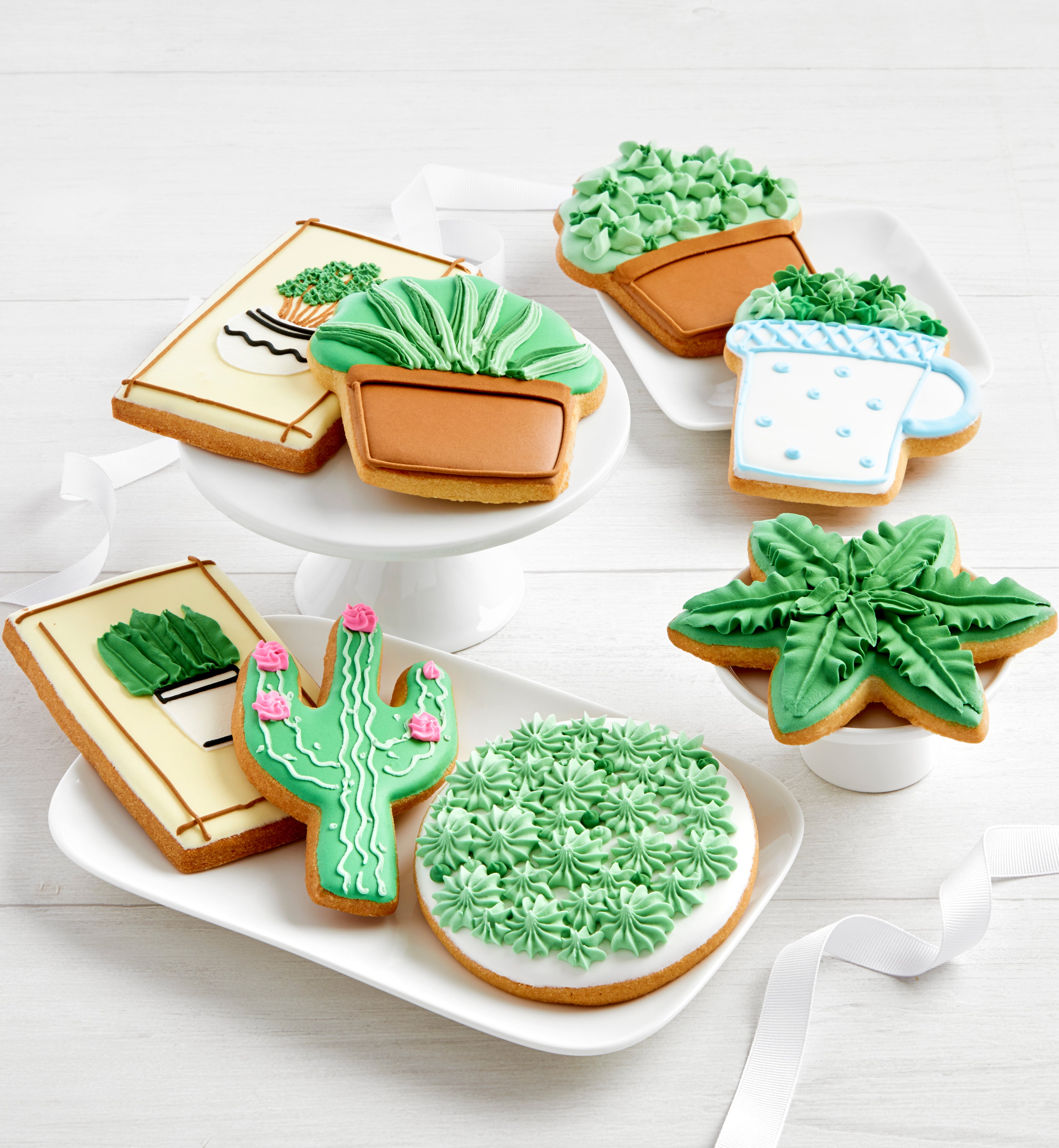 Frosted Succulent Cookies